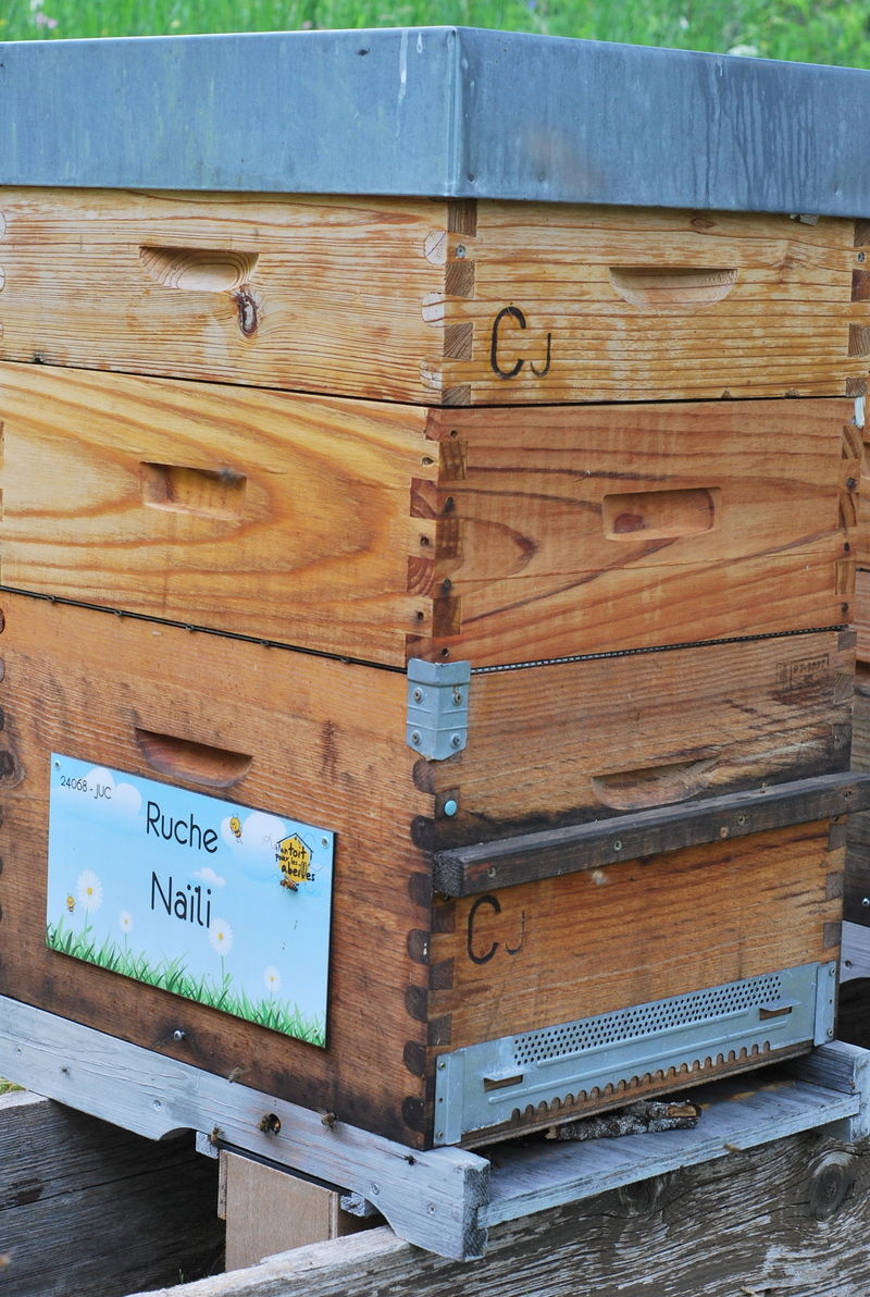 La ruche Naïli