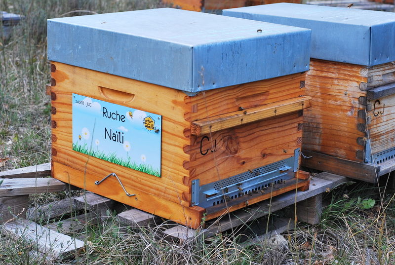 La ruche Naïli