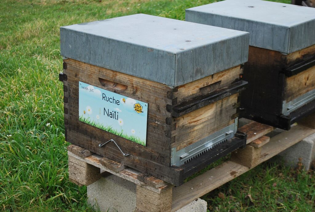 La ruche Naïli