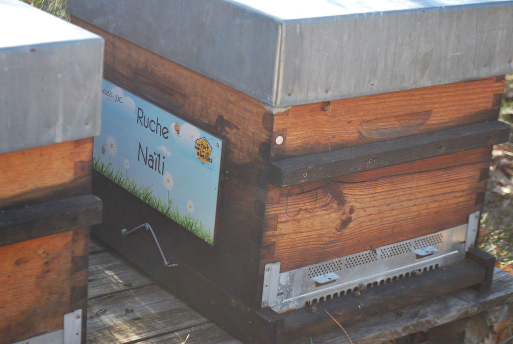 La ruche Naïli
