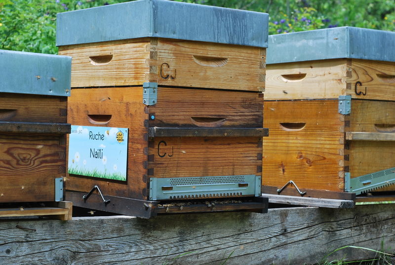 La ruche Naïli
