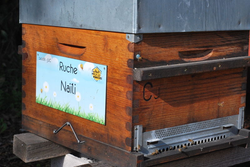 La ruche Naïli