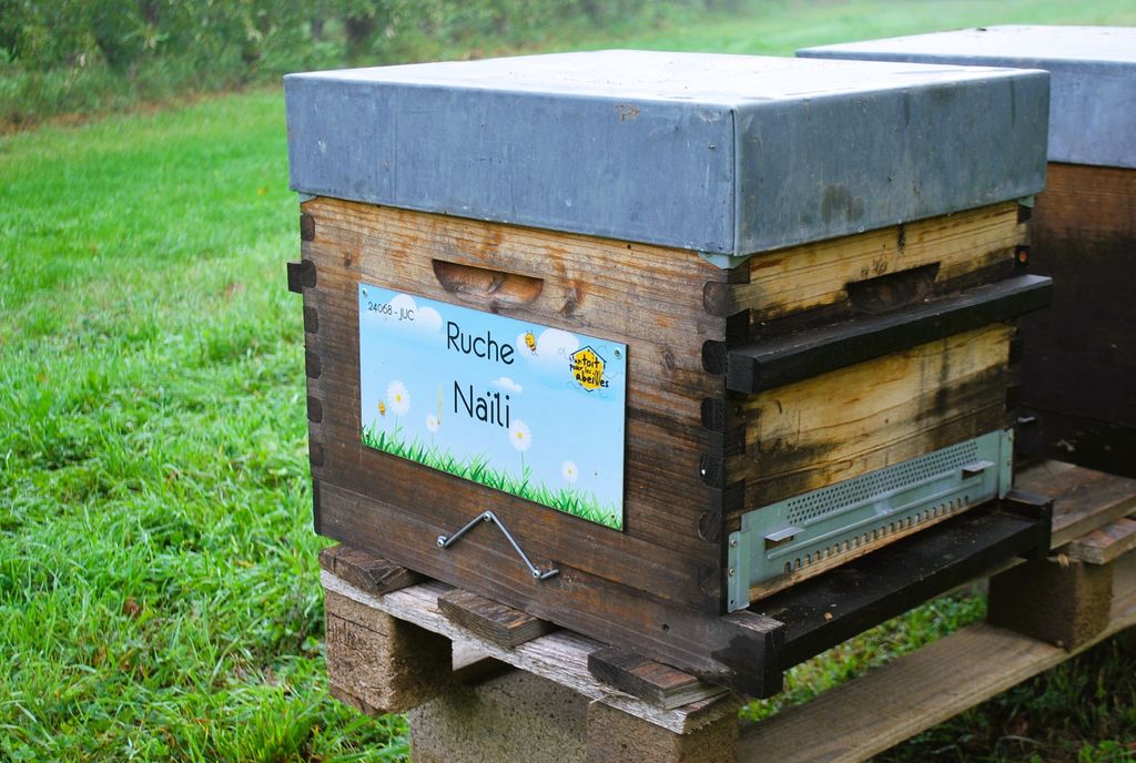 La ruche Naïli