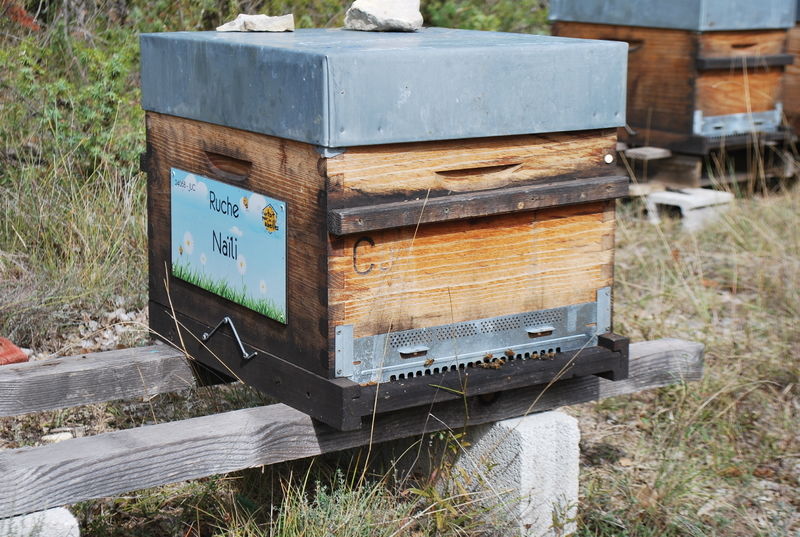 La ruche Naïli