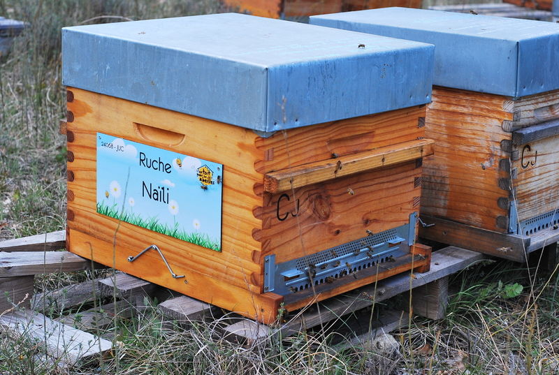 La ruche Naïli