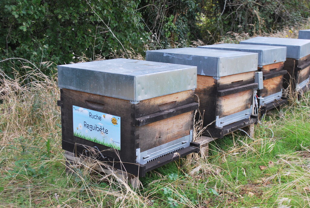 La ruche Reguibète