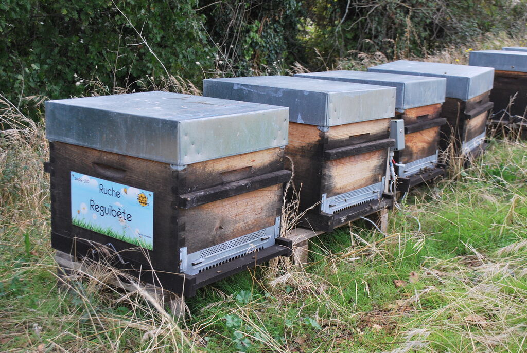 La ruche Reguibète