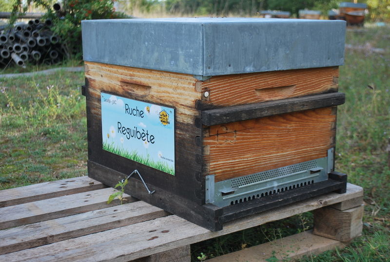 La ruche Reguibète