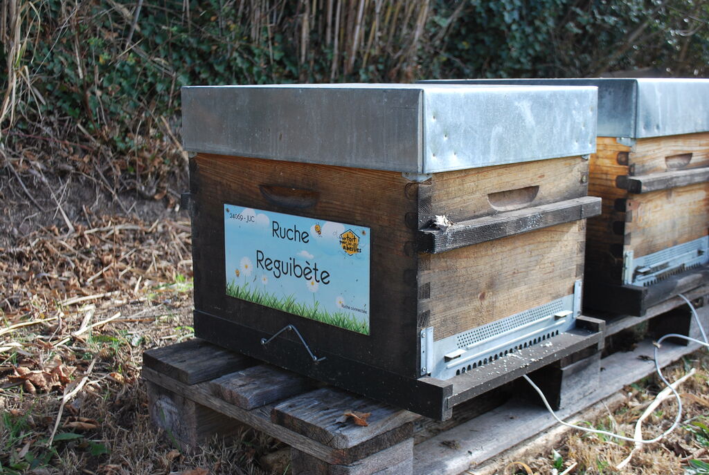 La ruche Reguibète