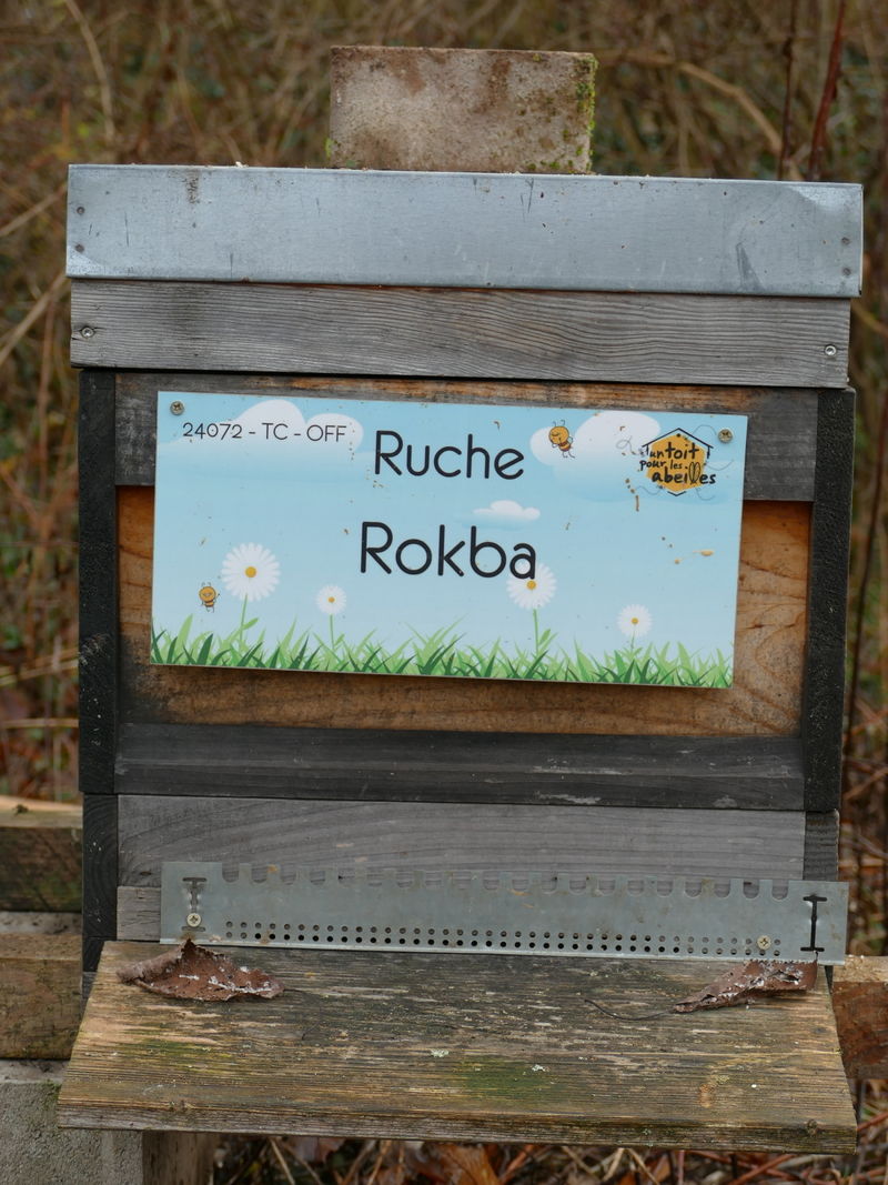 La ruche Rokba