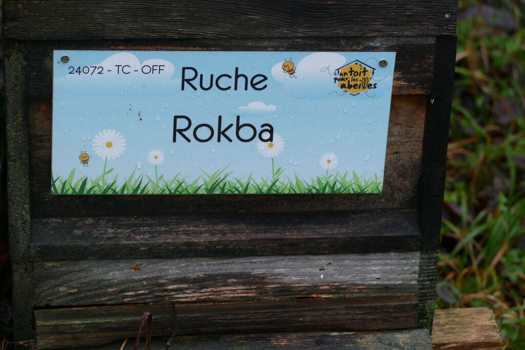 La ruche Rokba