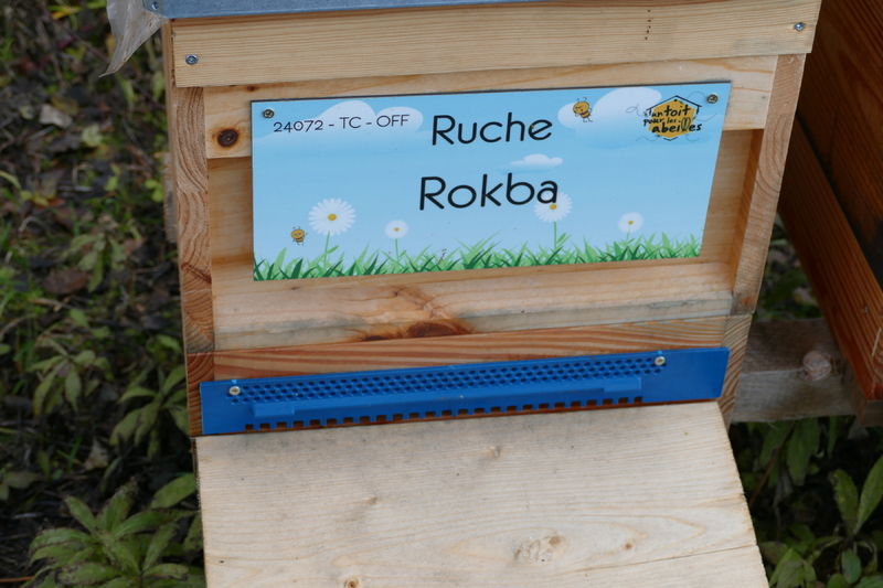 La ruche Rokba