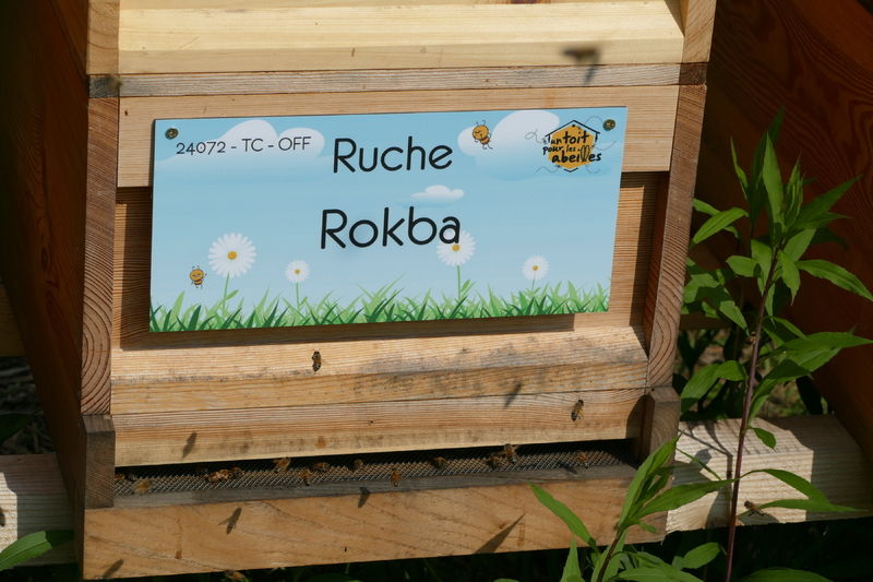 La ruche Rokba