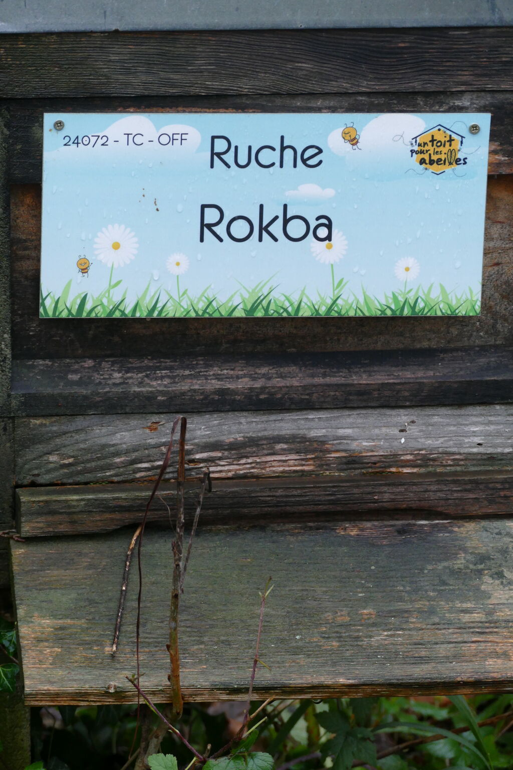 La ruche Rokba