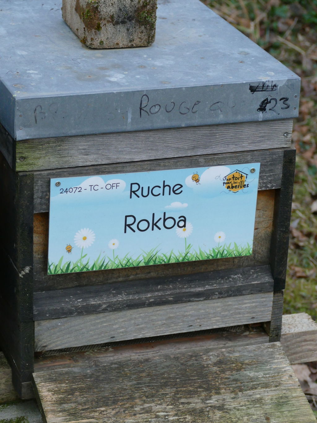 La ruche Rokba