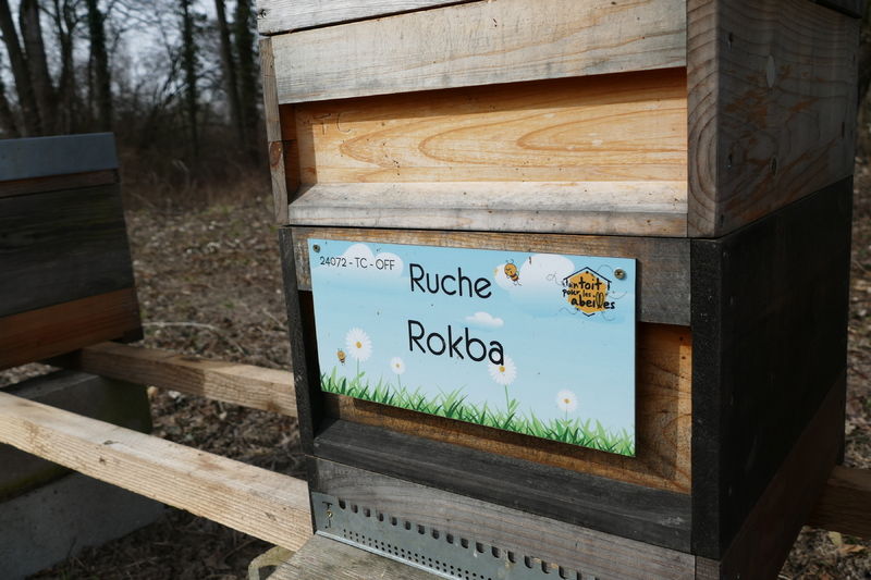 La ruche Rokba