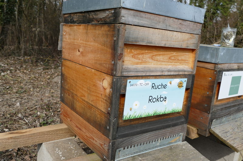 La ruche Rokba