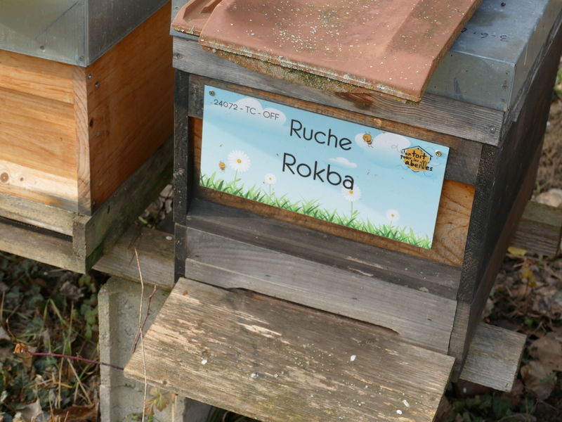 La ruche Rokba
