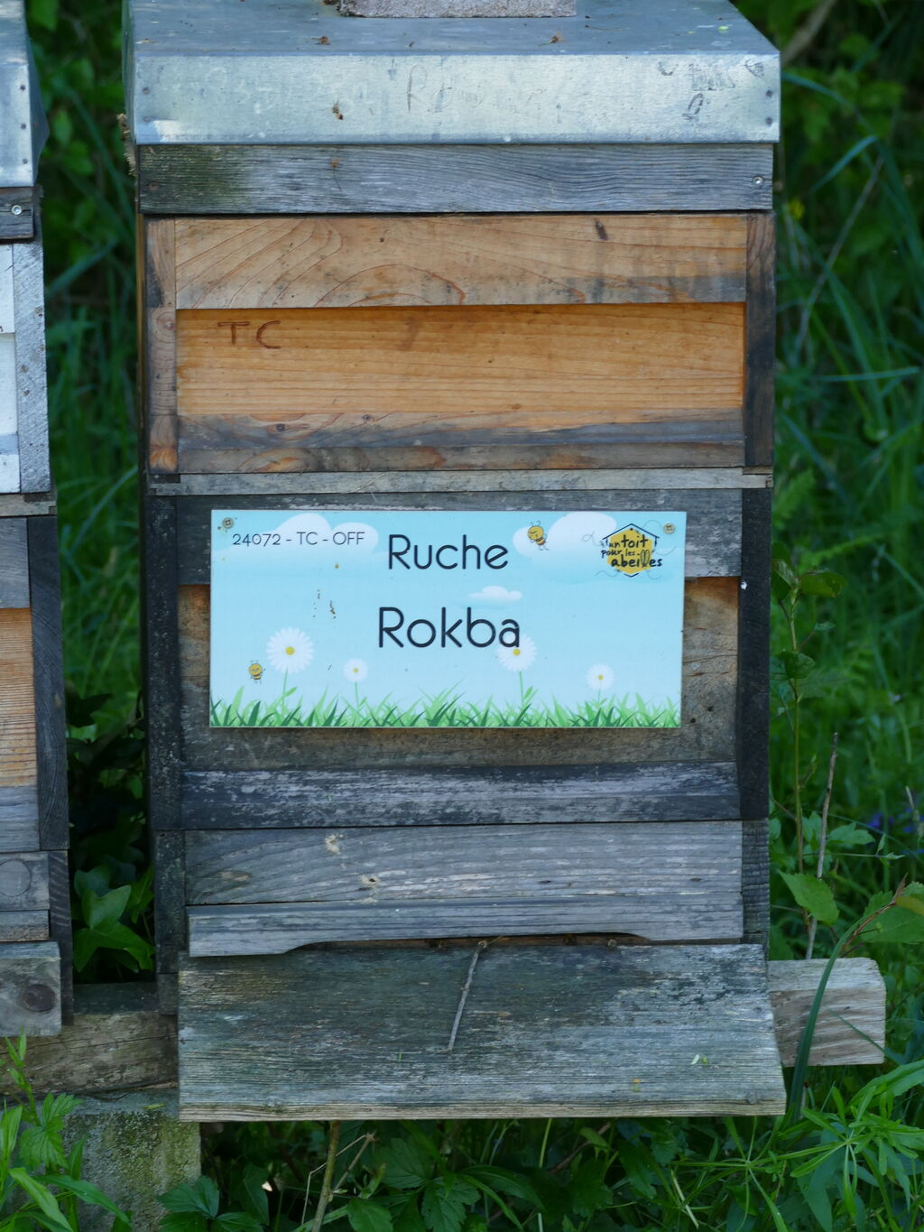 La ruche Rokba