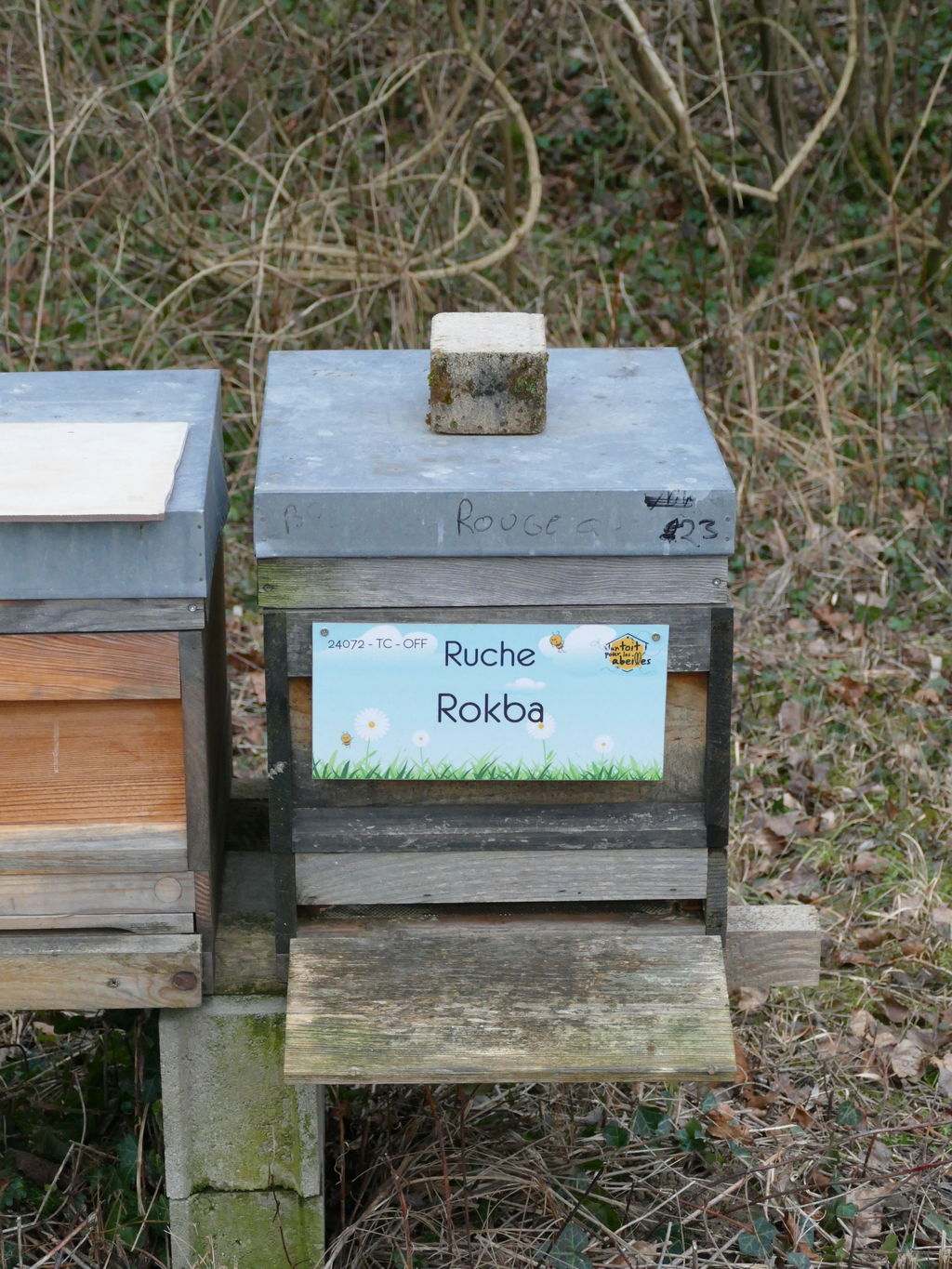 La ruche Rokba