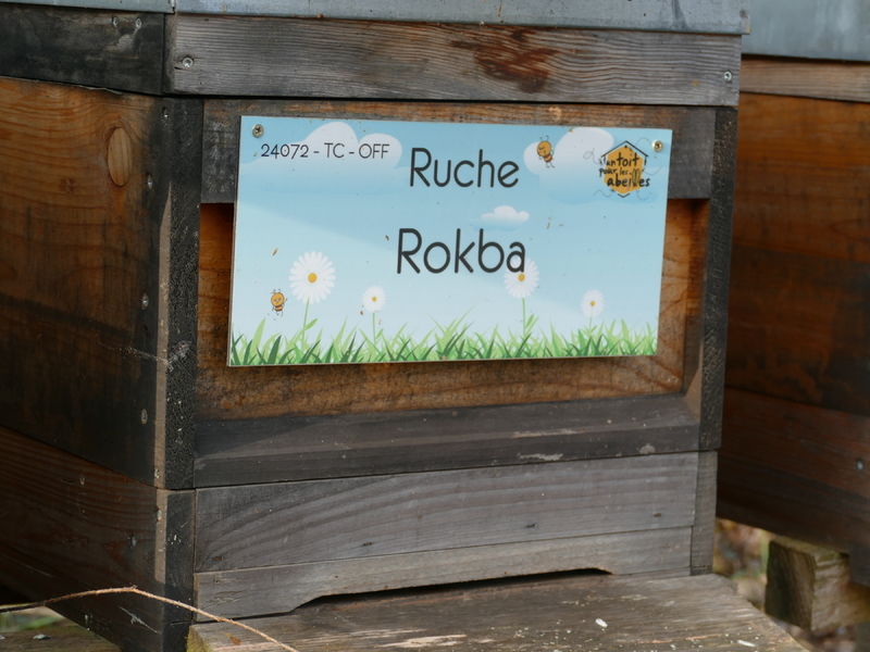 La ruche Rokba