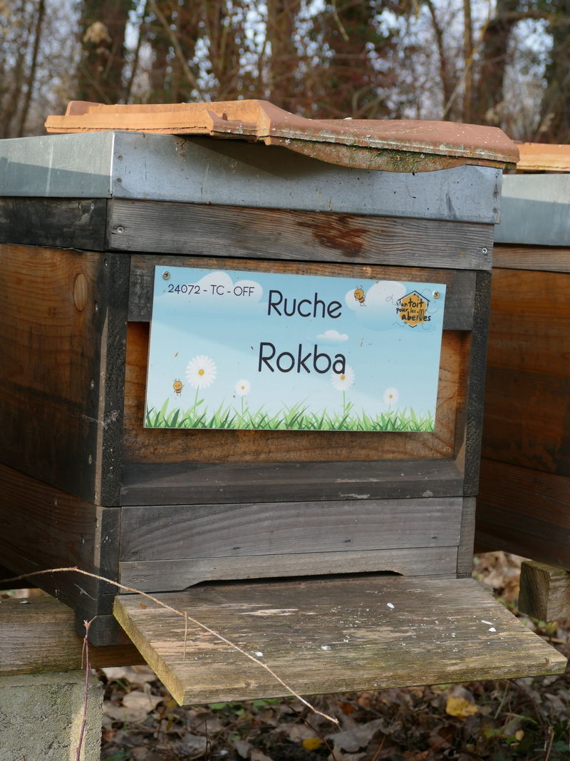 La ruche Rokba