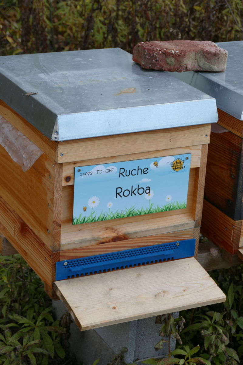 La ruche Rokba