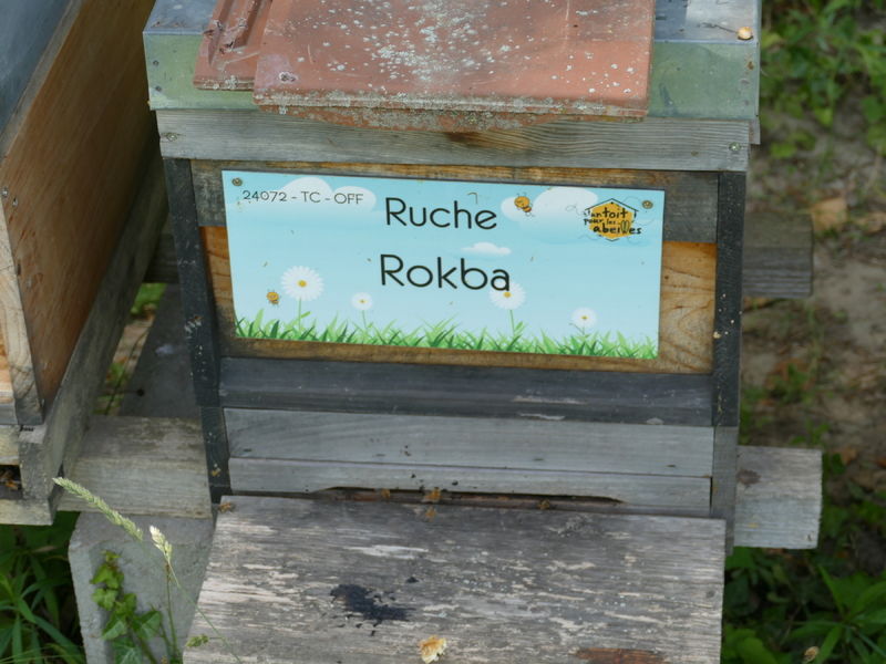 La ruche Rokba