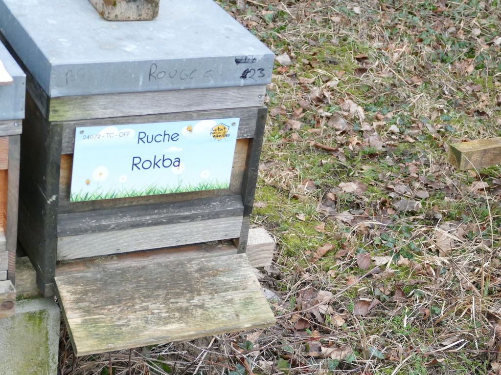 La ruche Rokba