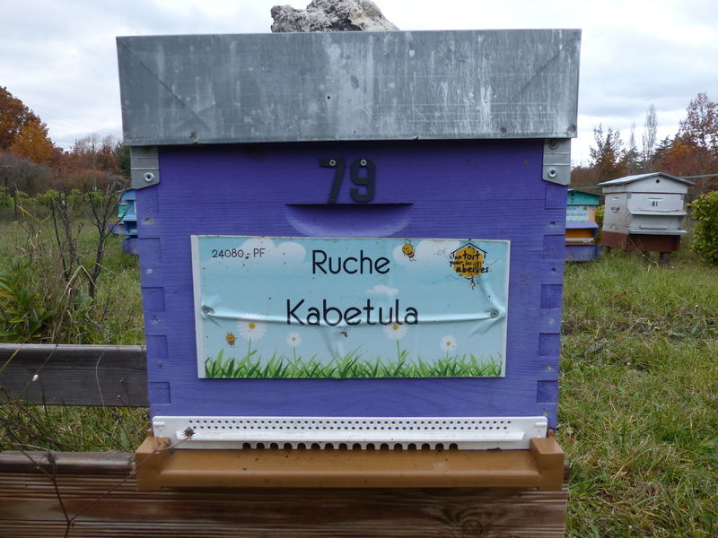 La ruche Kabetula