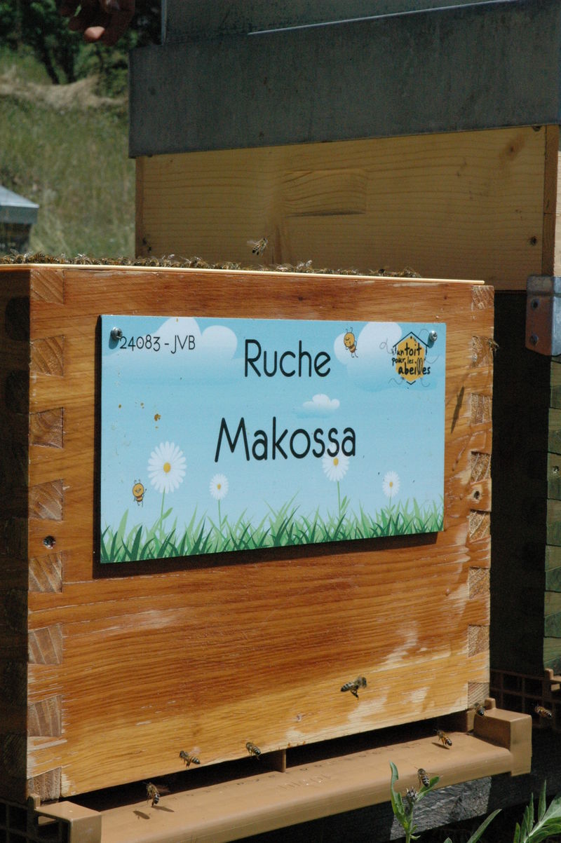 La ruche Makossa