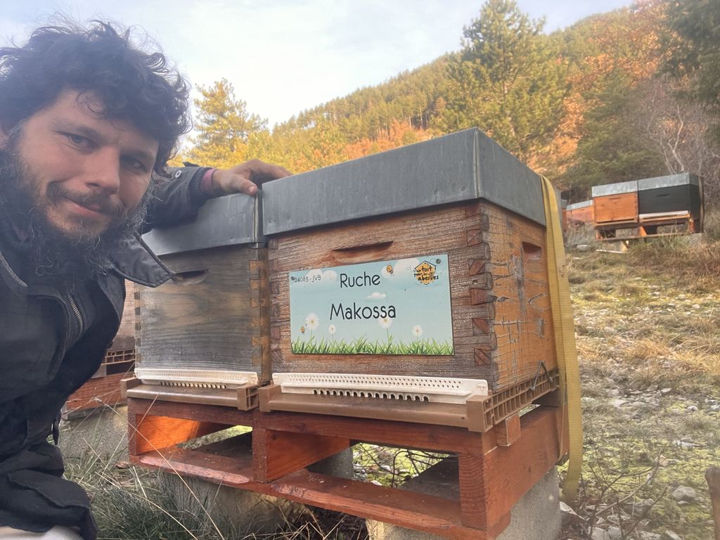 La ruche Makossa