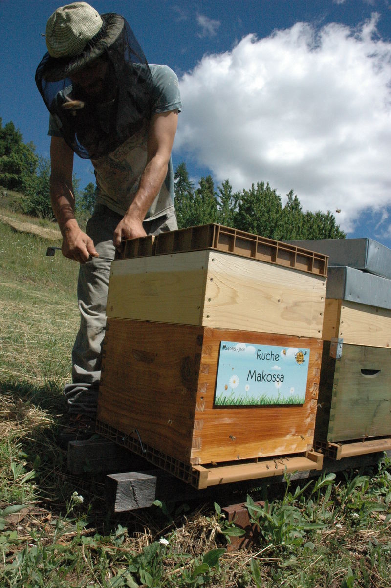 La ruche Makossa