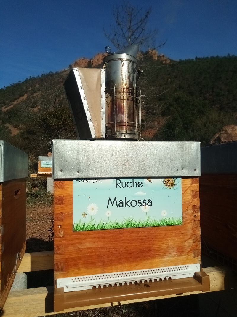 La ruche Makossa