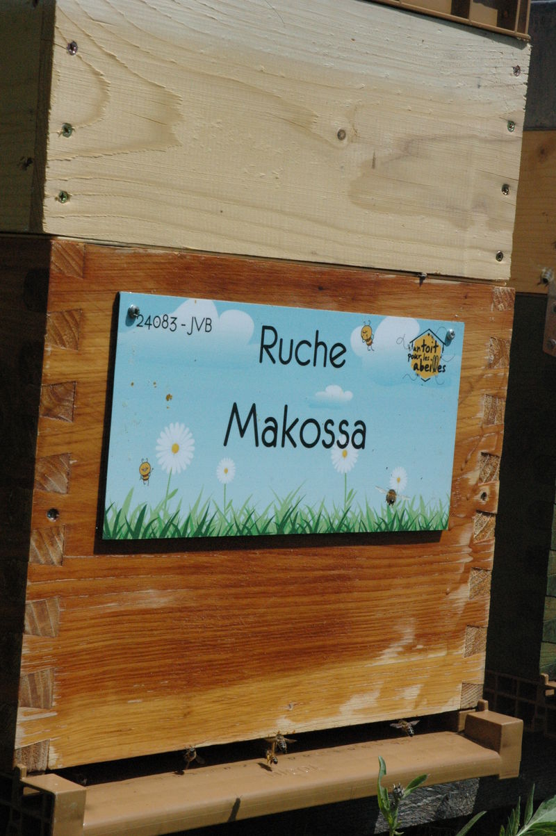 La ruche Makossa