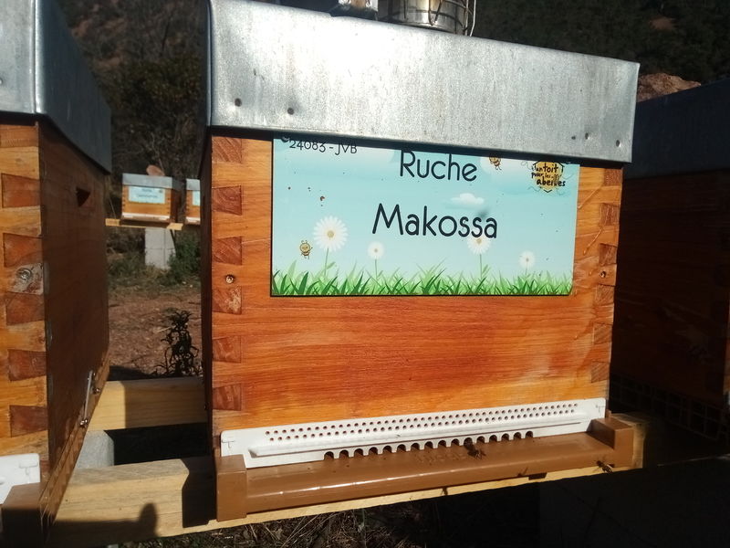 La ruche Makossa