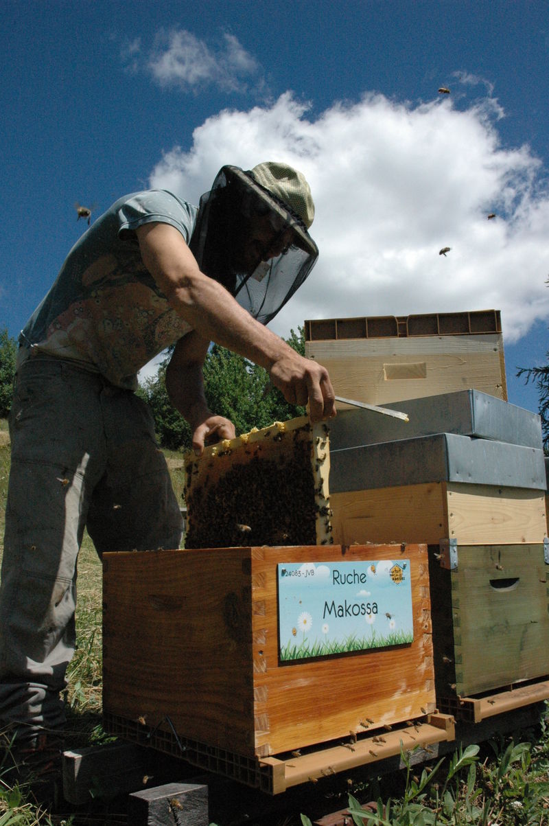 La ruche Makossa