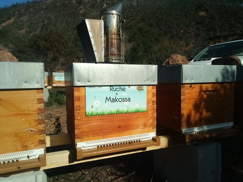 La ruche Makossa