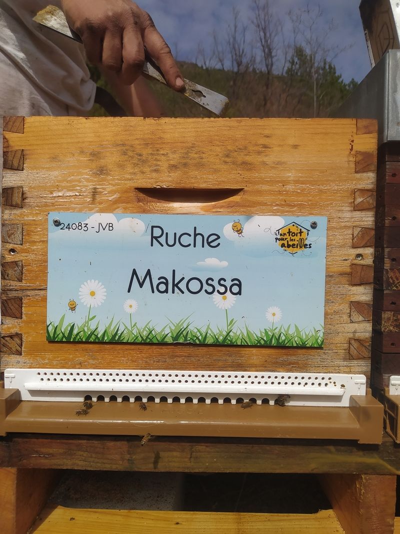 La ruche Makossa