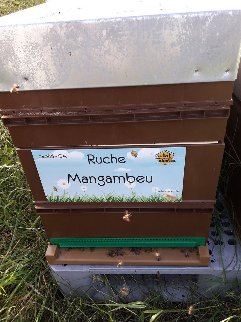 La ruche