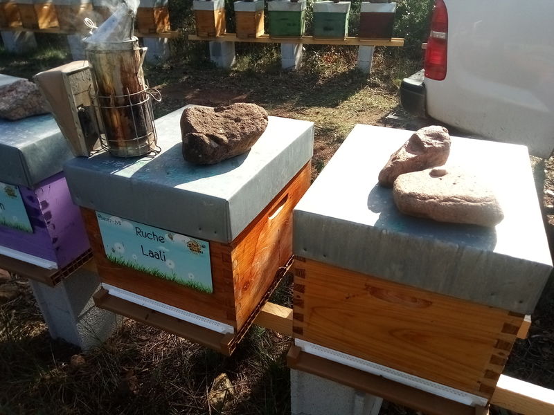 La ruche Laali