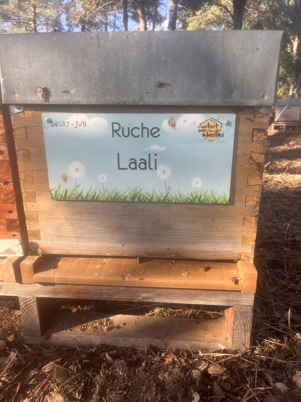 La ruche Laali