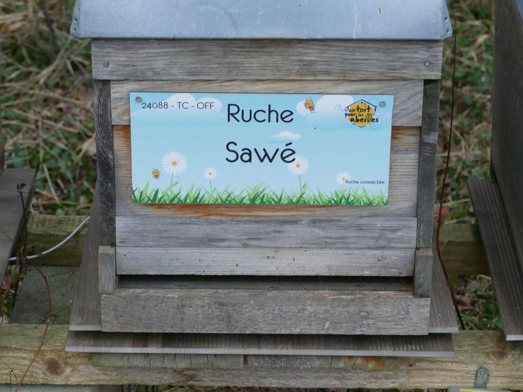 La ruche Sawé