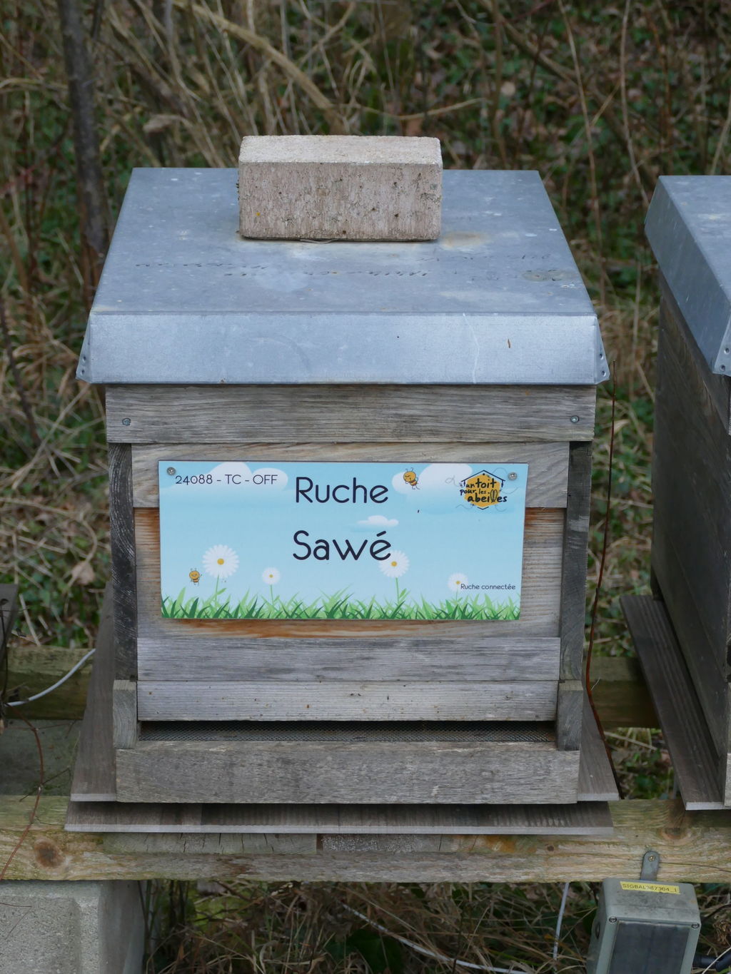 La ruche Sawé