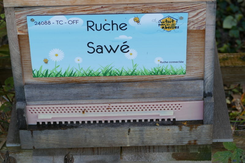 La ruche Sawé