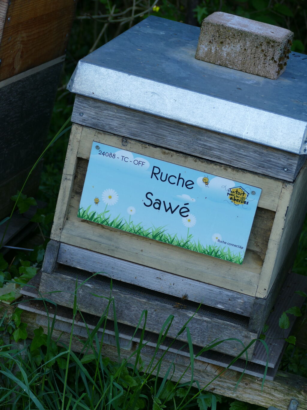 La ruche Sawé