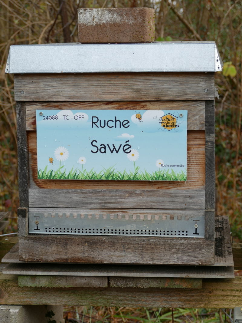 La ruche Sawé