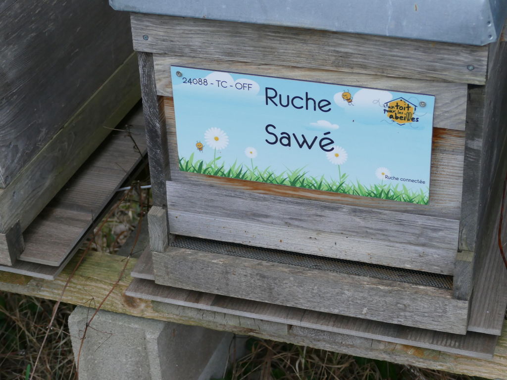 La ruche Sawé