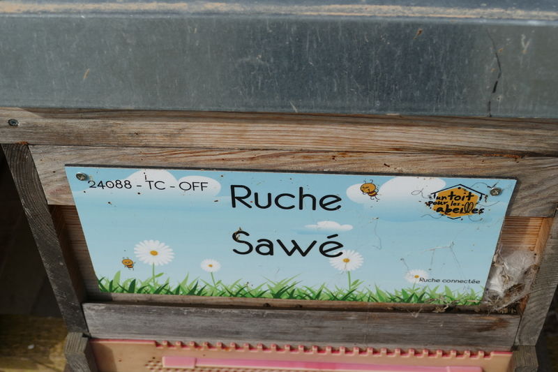 La ruche Sawé