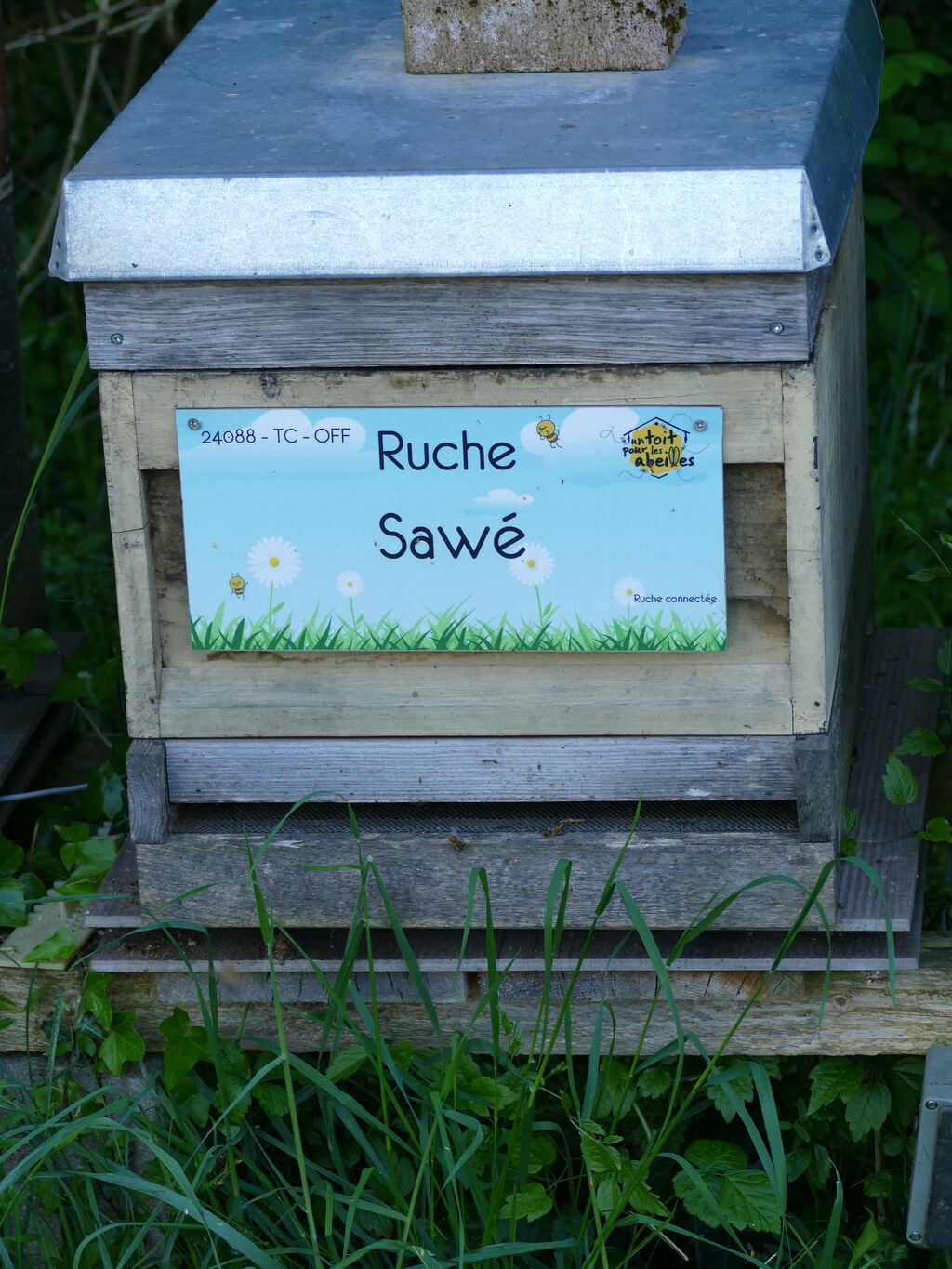 La ruche Sawé